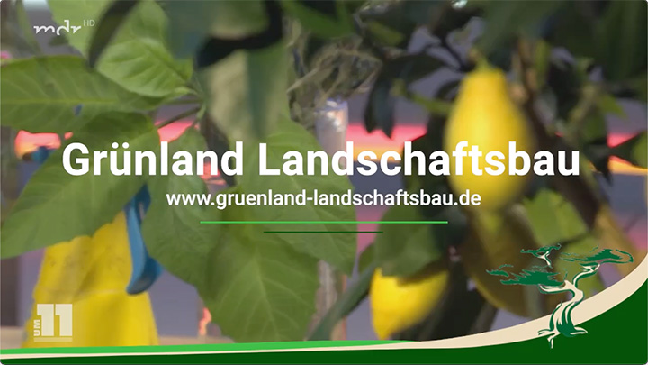 Grünland Landschaftsbau